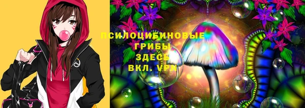 синтетический гашиш Пролетарск