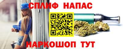 дживик Гатчина