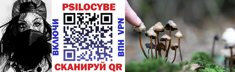 Псилоцибиновые грибы ЛСД  Алатырь 