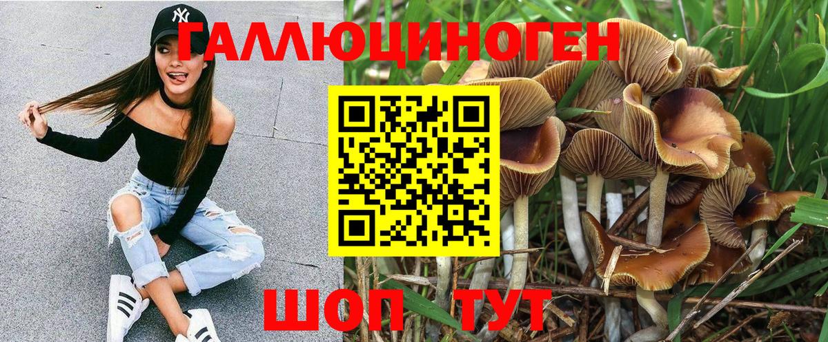 Псилоцибиновые грибы мицелий Алатырь