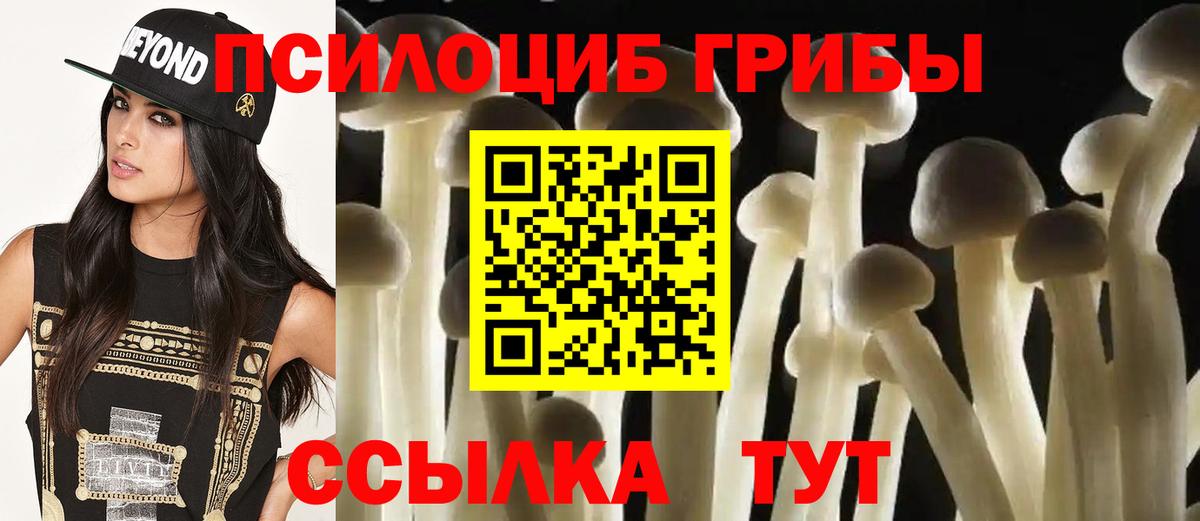 Галлюциногенные грибы Psilocybine cubensis  Вход с VPN  Алатырь 
